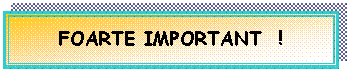 Text Box: FOARTE IMPORTANT !








